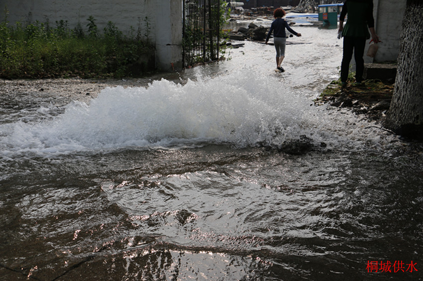 unibet��ʤ�͹���