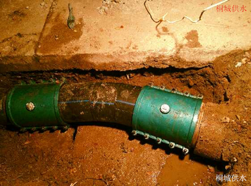 unibet��ʤ�͹���