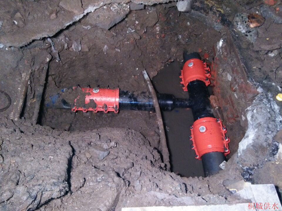 unibet��ʤ�͹���