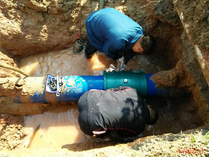 unibet��ʤ�͹���