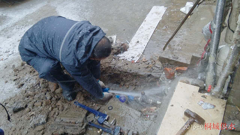 unibet��ʤ�͹���