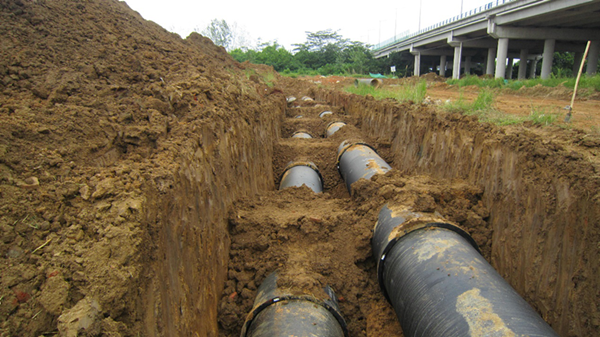 unibet��ʤ�͹���