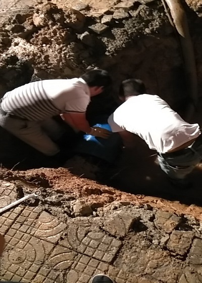 unibet��ʤ�͹���