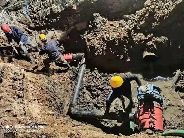 unibet��ʤ�͹���