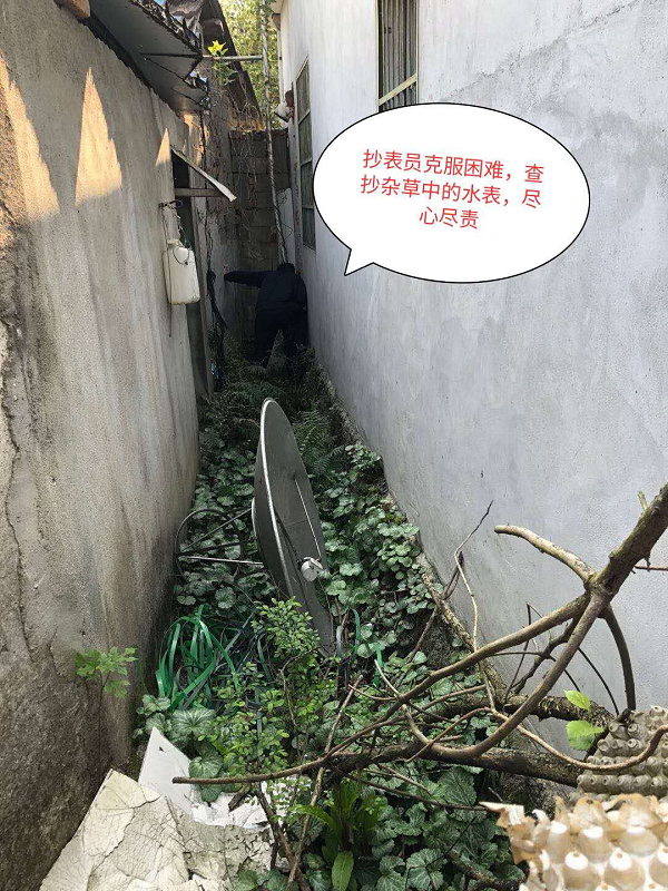 unibet��ʤ�͹���