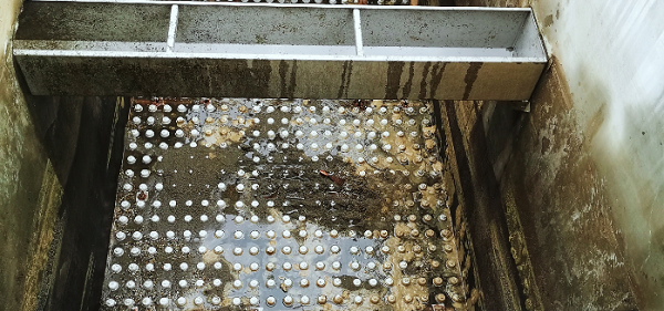 unibet��ʤ�͹���