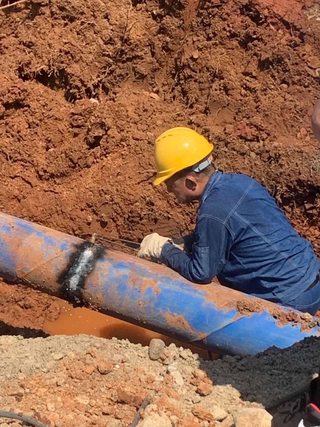 unibet优胜客官网