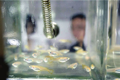 unibetÓÅʤ¿Í¹ÙÍø