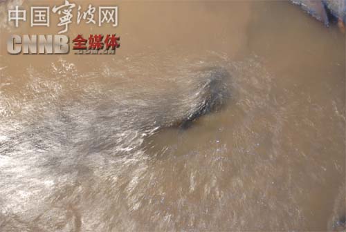 unibet��ʤ�͹���