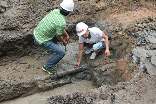 unibet��ʤ�͹���