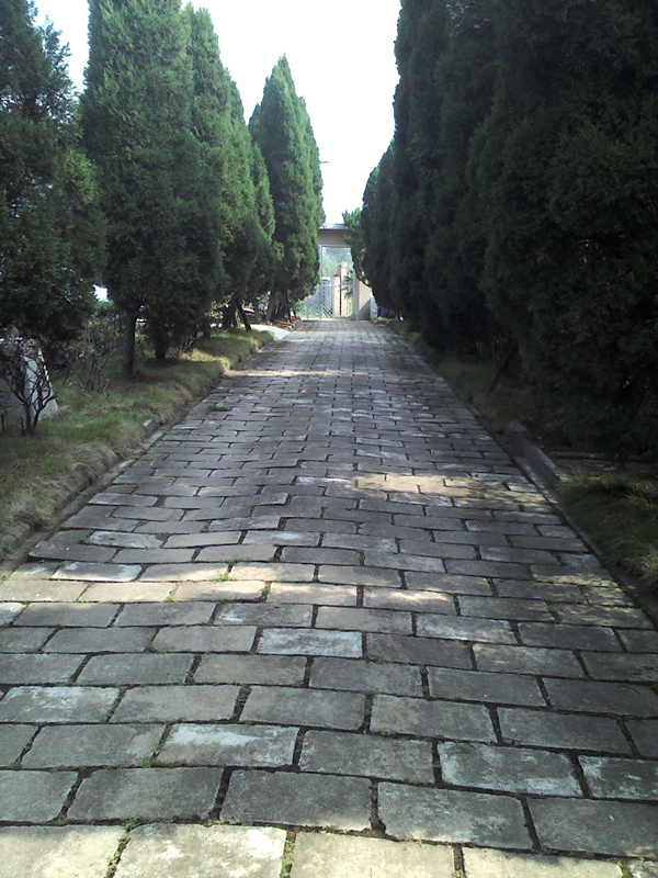 unibet��ʤ�͹���